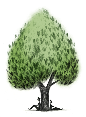 Catalpa Tree