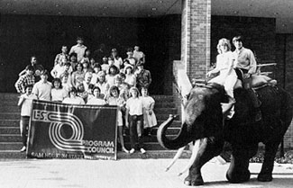 Elephant on campus