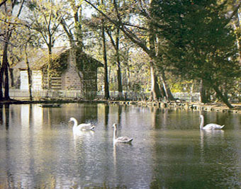 Duck Pond on campus