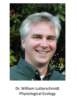 Dr Lutterschmidt