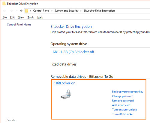 Bitlocker Options