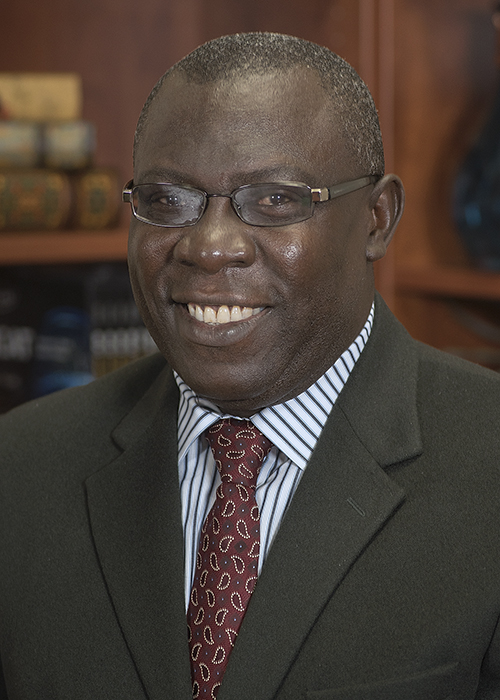 Stephen Nkansah-Amankra