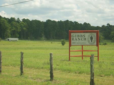 gibbs ranch