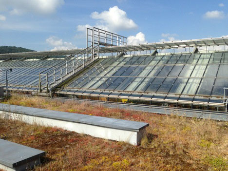 View of the roof at University of Applied Science-Trier Birkenfield Campus with a green roof and solar photovoltaic panels. The University generates approximately 1/3 of its total electrical power needs from a combination of solar panels and wind turbines.