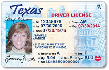 Sample Drivers License