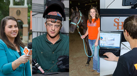 Four photos of students participating in the agricultural sciences programs.
