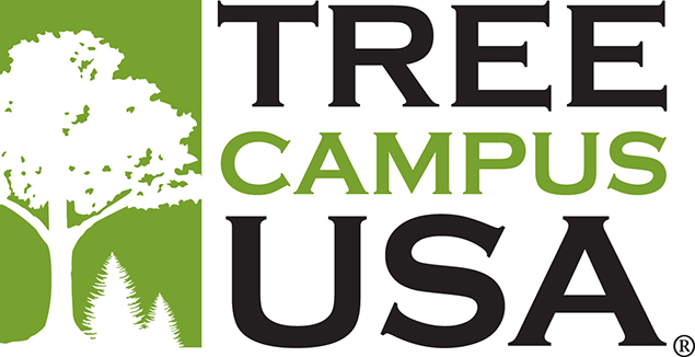 TreeCampus_USAInside