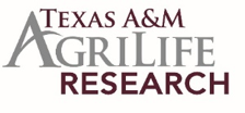 Texas a & m research agrilife logo