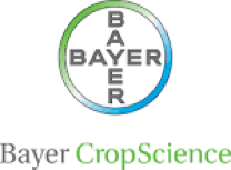 bayer logo