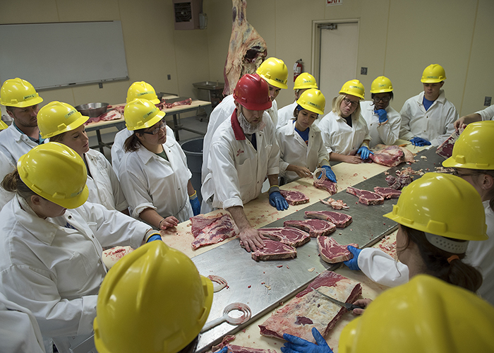 Meat science lab