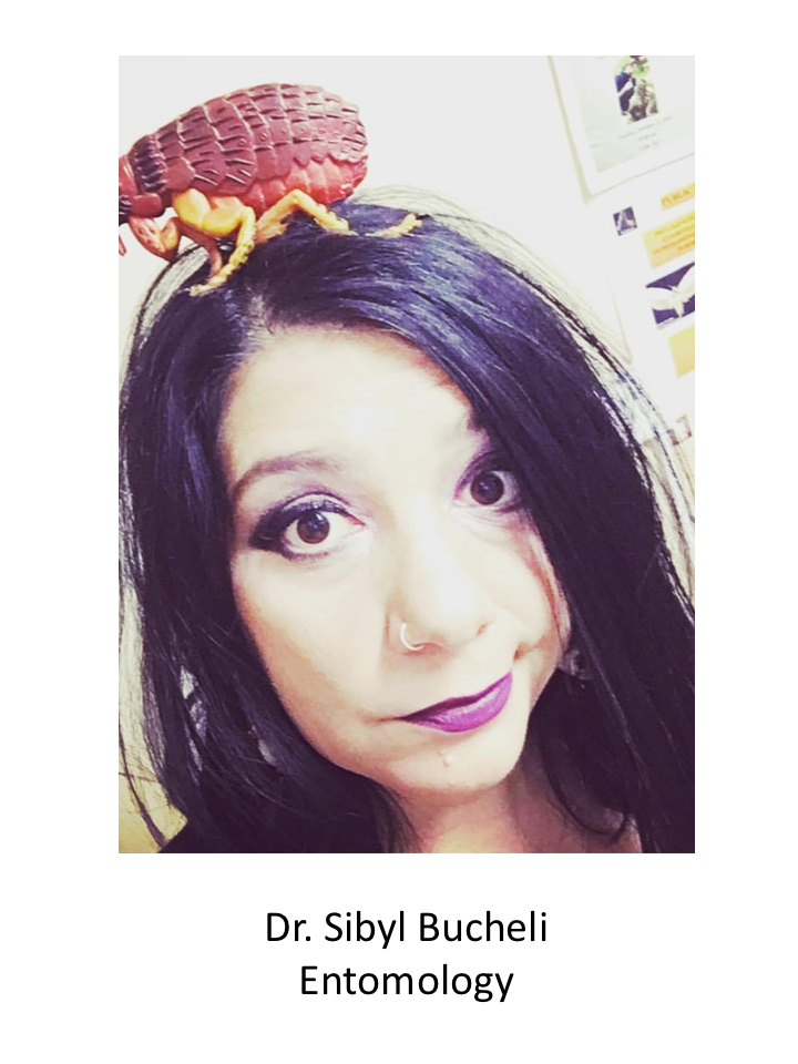 Dr. Bucheli