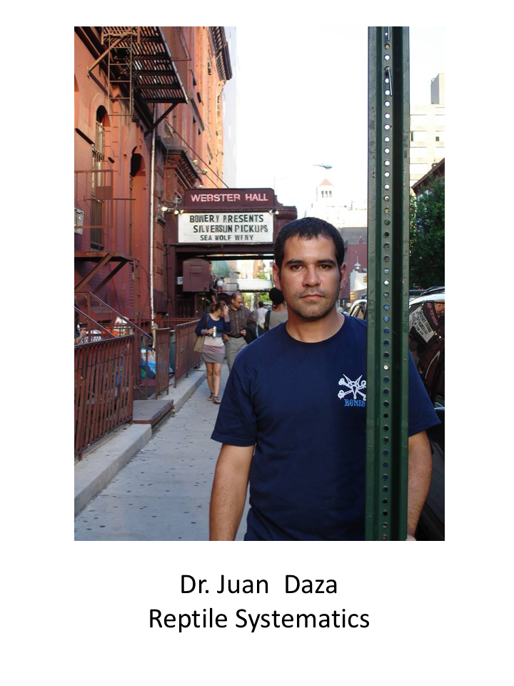 Dr Daza