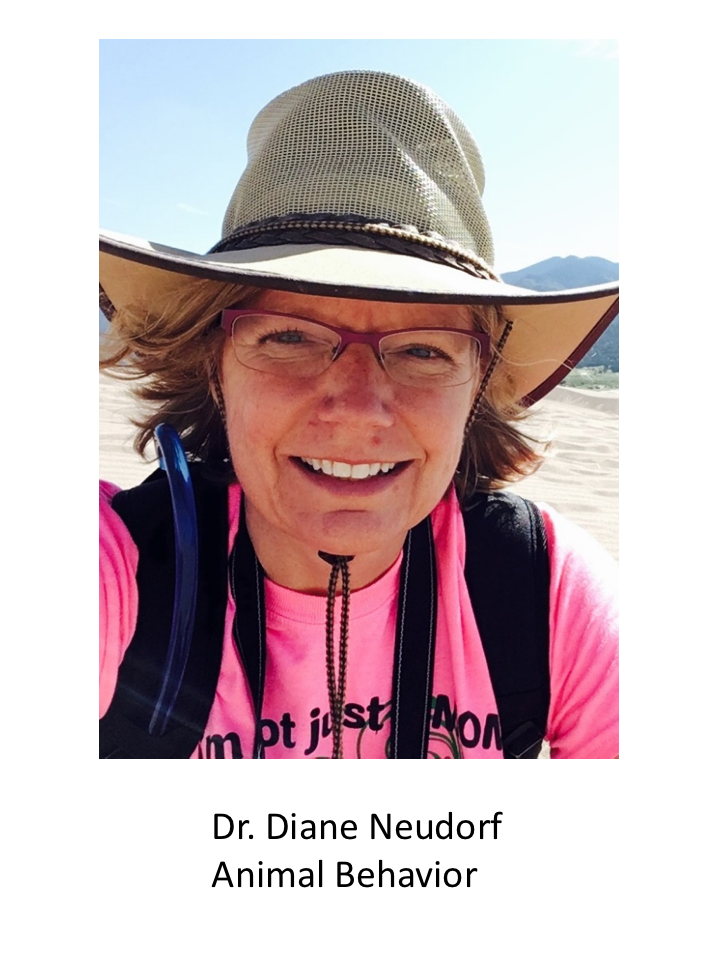 Dr. Neudorf