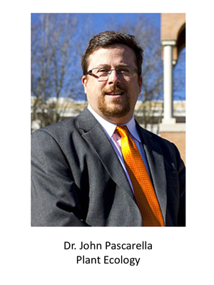 Dr Pascarella