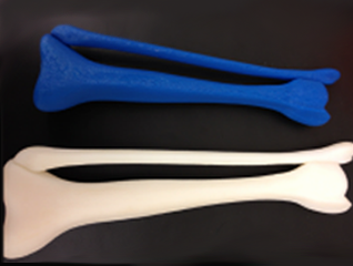 3-D printing of bones to build a skeleton