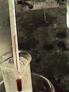 thermometer in salt water