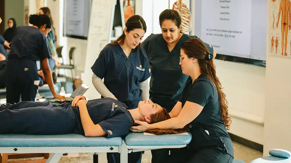 Table trainer showing student doctors osteopathic manipulative medicine techniques
