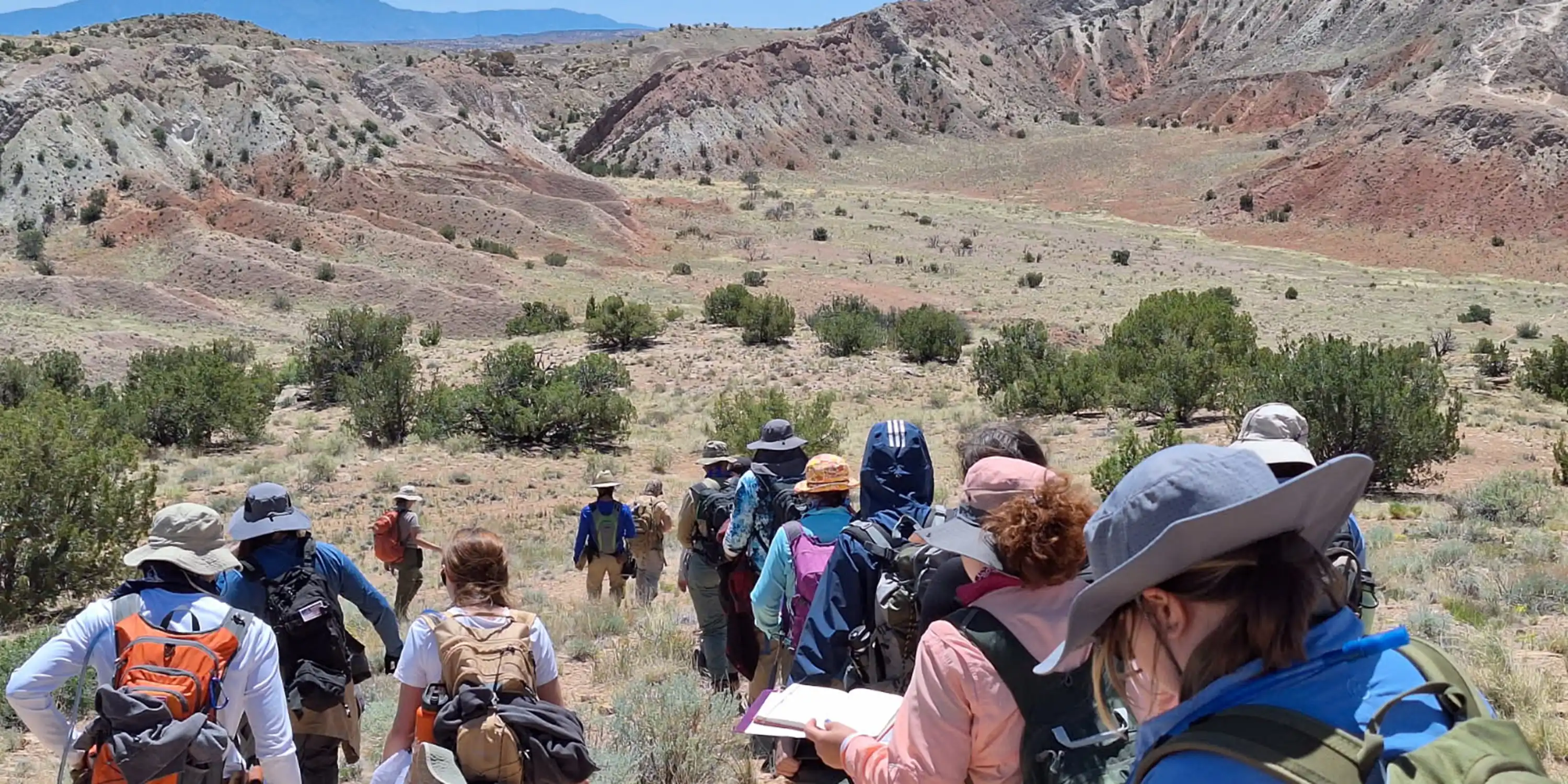 Students learning in the Field
