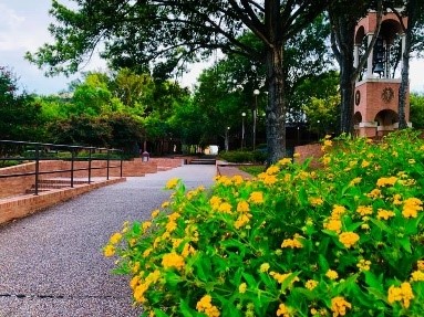 SHSU Bell Tower photo