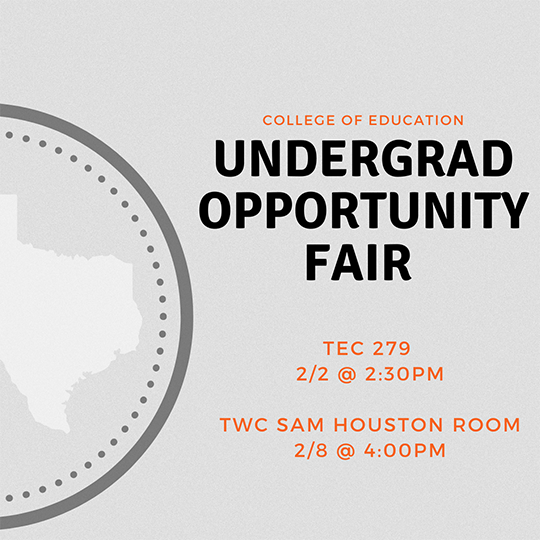 Opportunity Fair