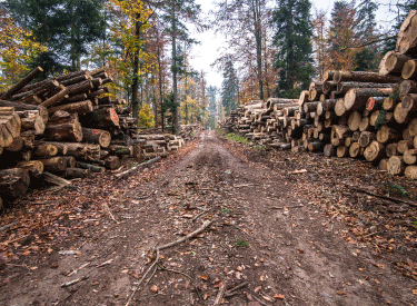 Human Environment, Deforestation, Human Footprint