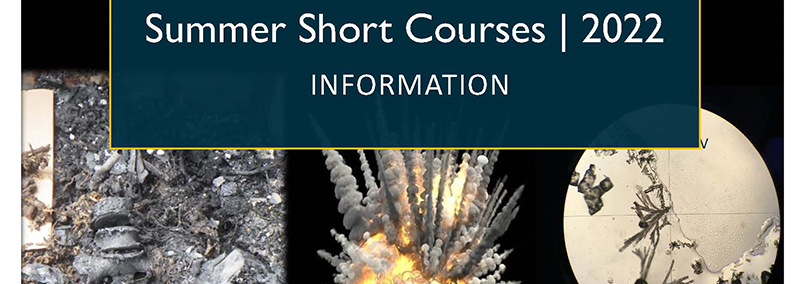 Summer Short Courses