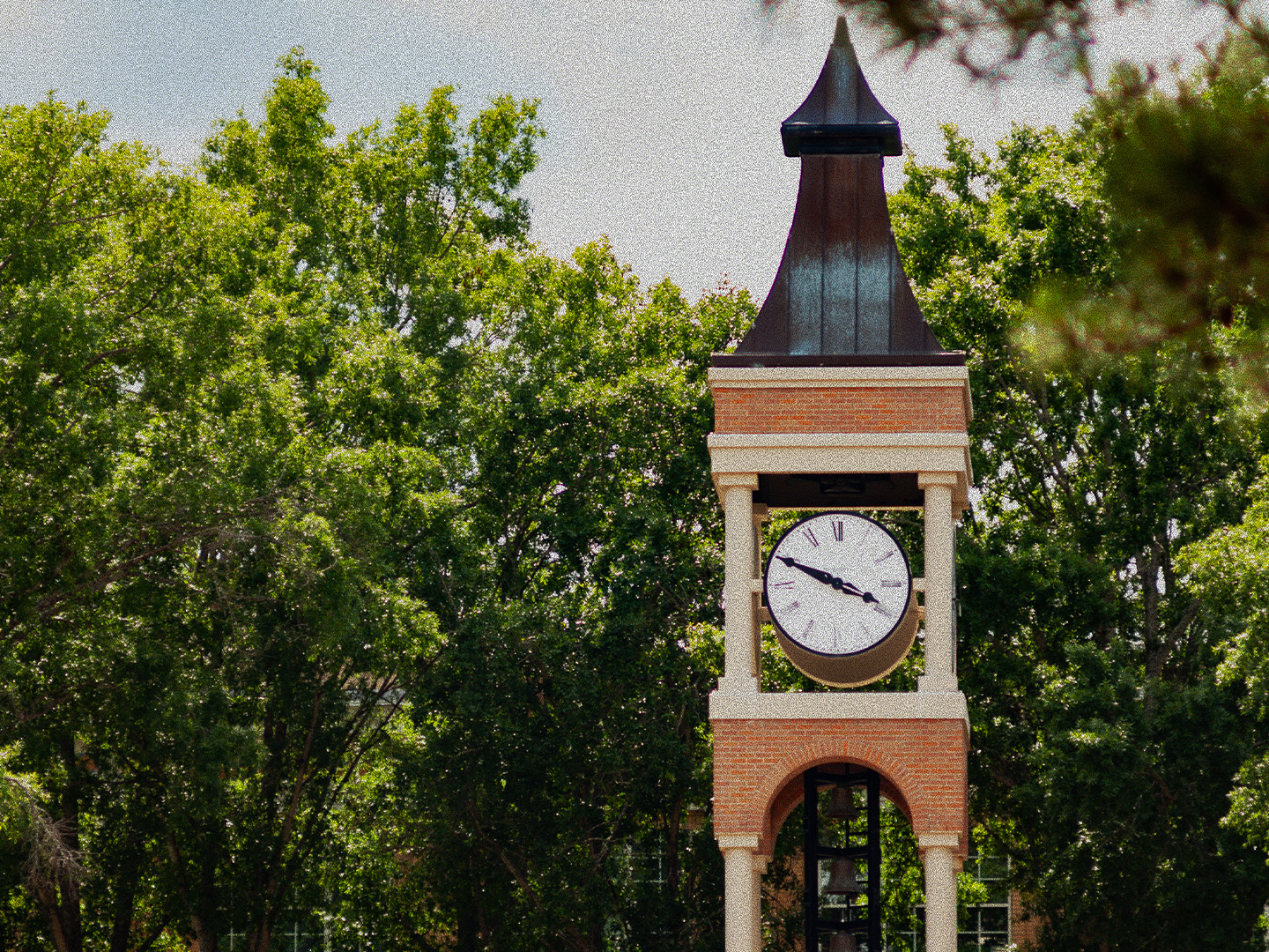 Clock Tower Amongst trees on Main Campus