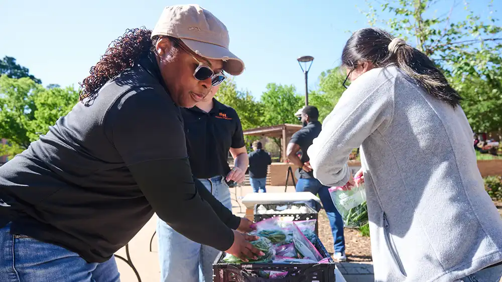 Students helping the community outdoors