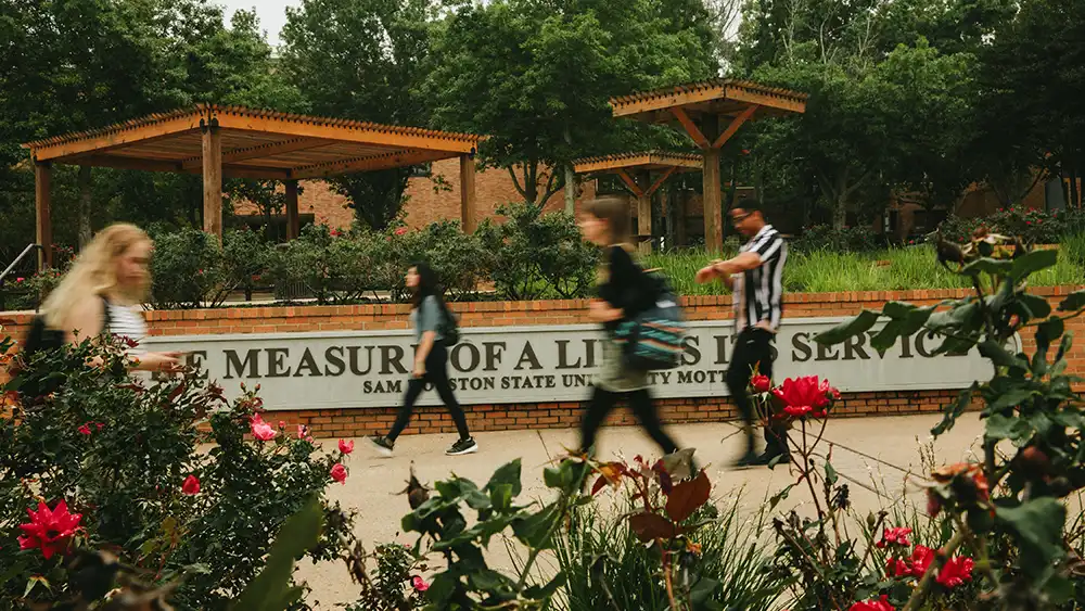 Students walking on campus, timelapsed.