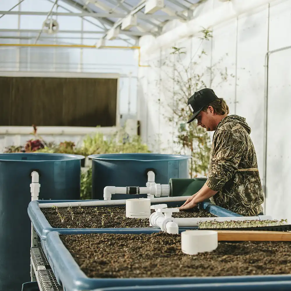 SHSU Student working in a Greenhouse 