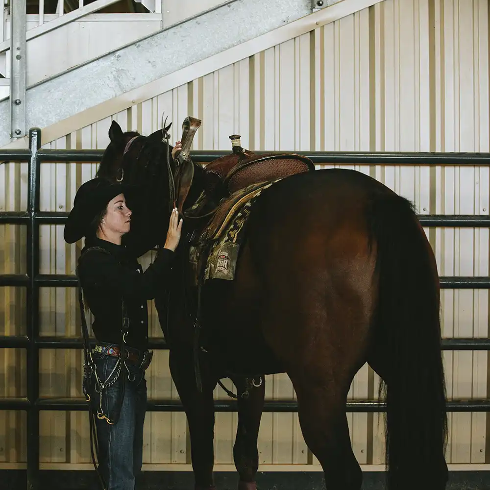 SHSU Student taking care of horse