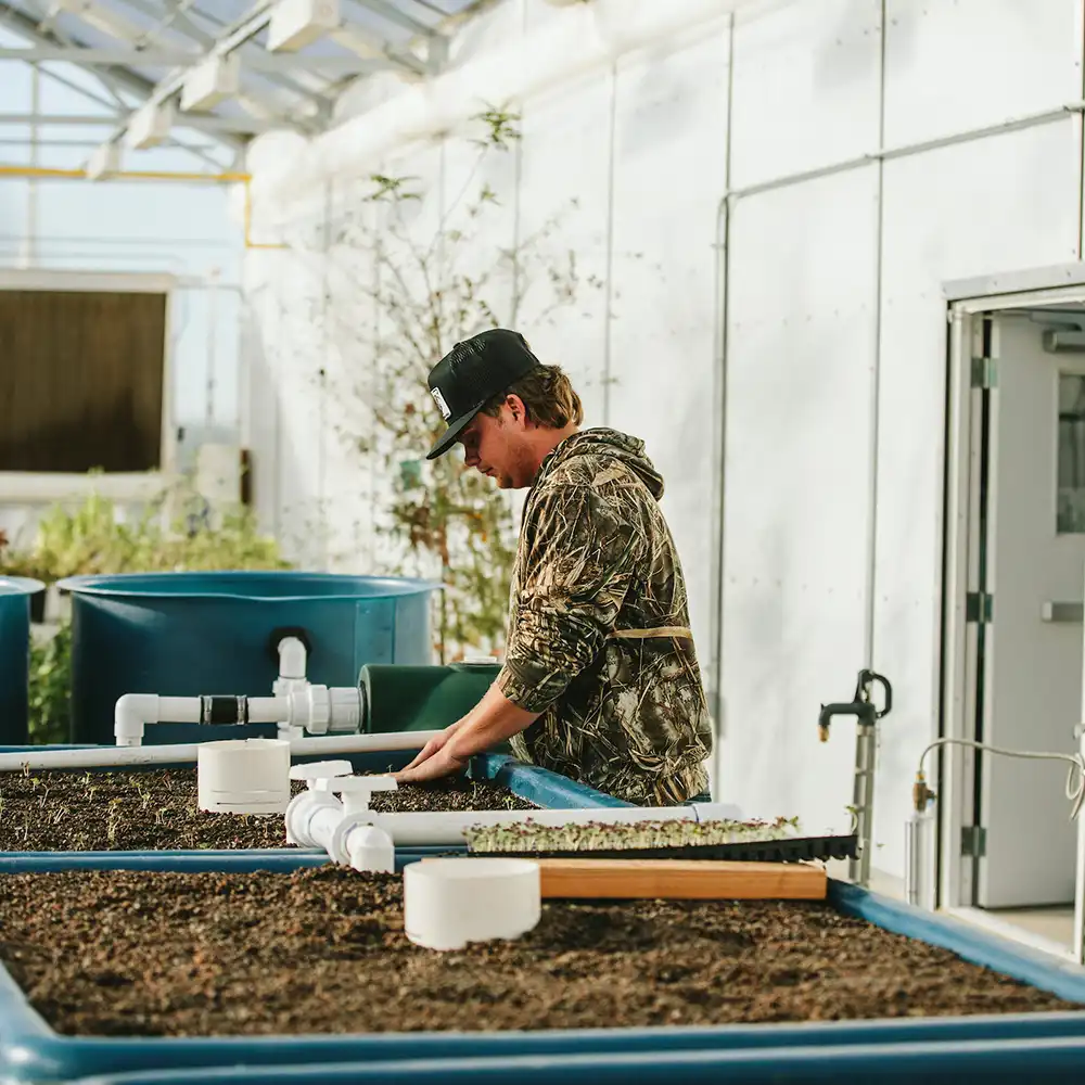 SHSU students study on the lawn in front of Austin Hall.