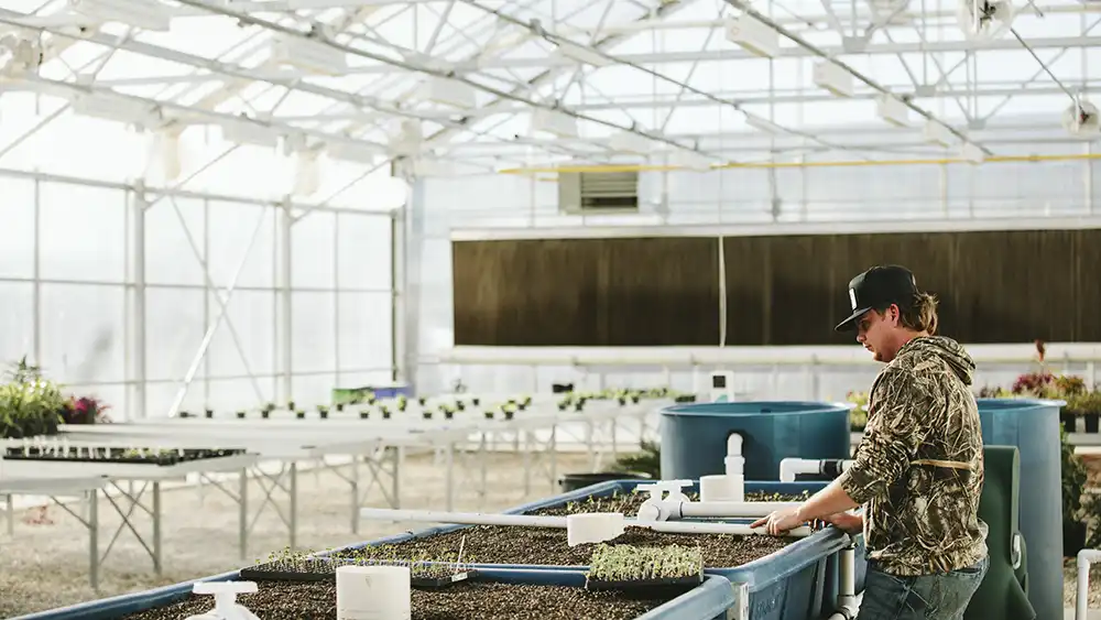 Professor speaking to the camera in a classroom style class, with her hands opened.