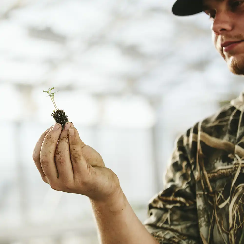 SHSU Student looking at a plant