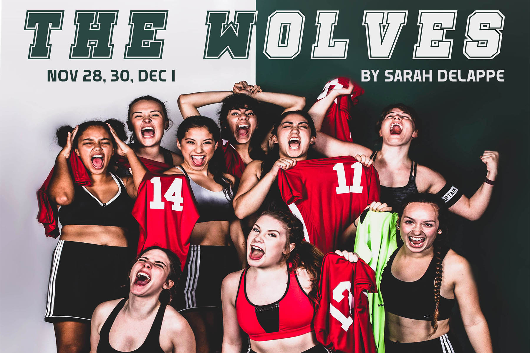 Wolves_web_banner