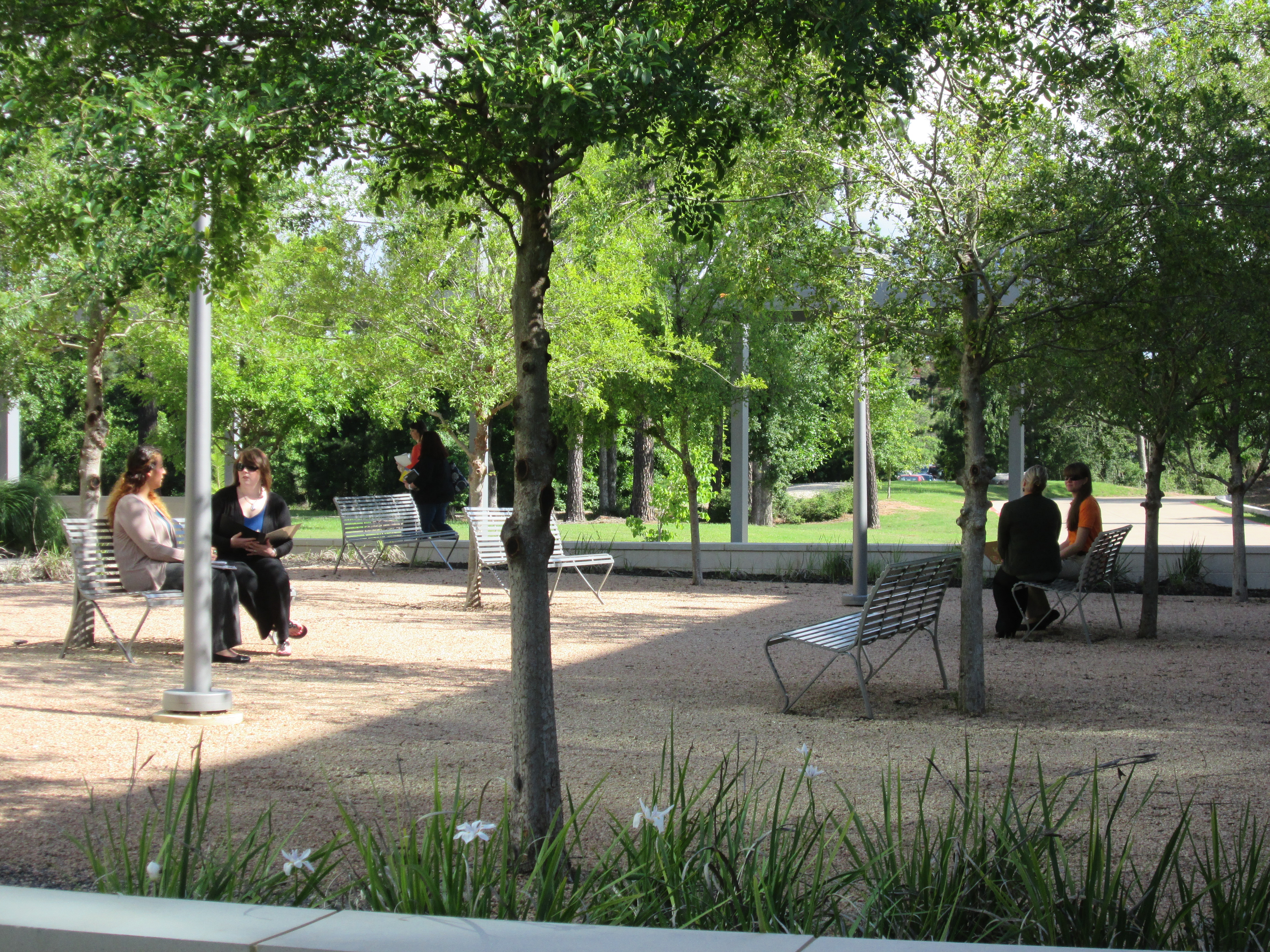 Outdoor Courtyard