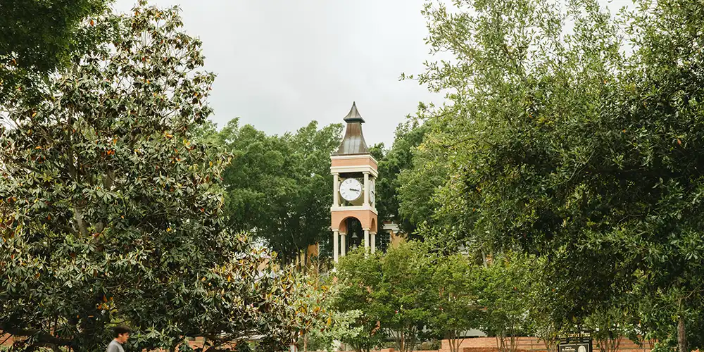 Scenic of clock tower