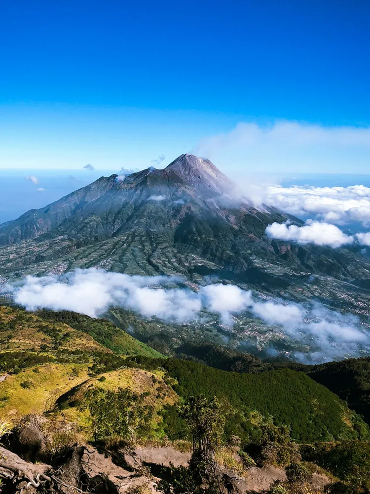 An evening view of the Vienna Christmas Market in Austria