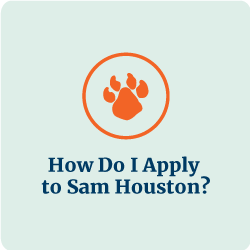 How do I apply to Sam Houston?