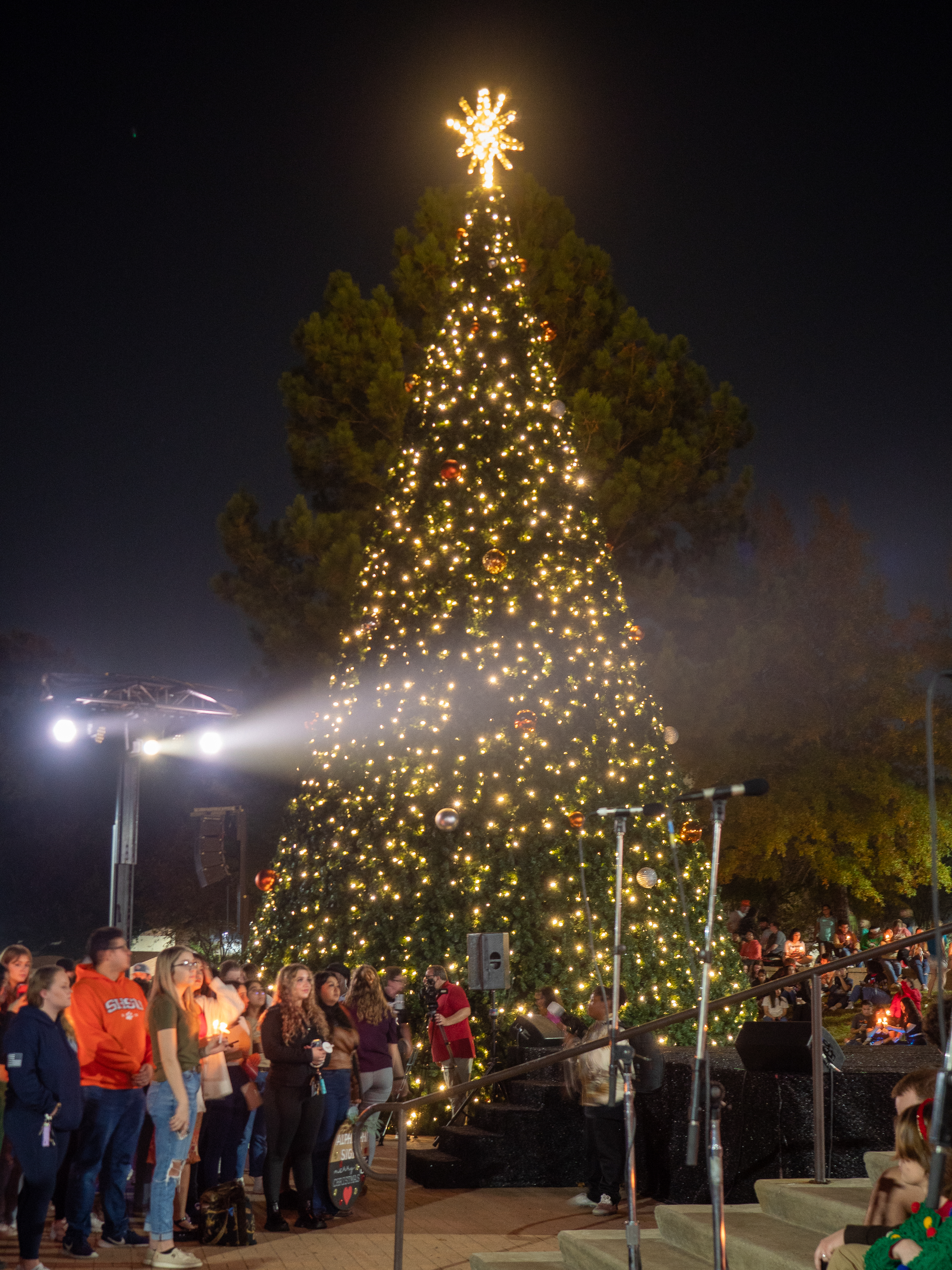 tree of light ceremony
