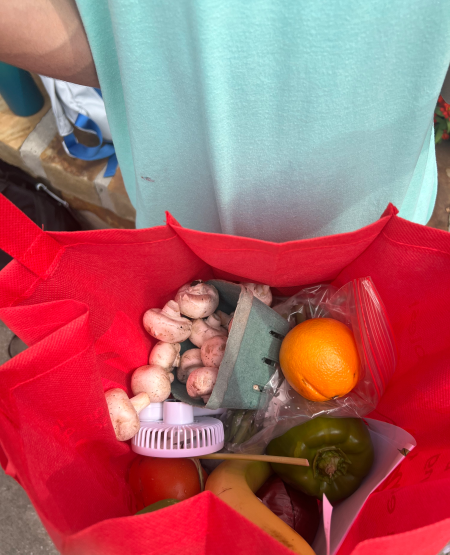 Tote-with-goodies.jpeg