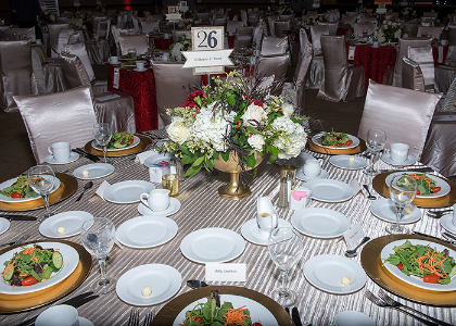 gala photo