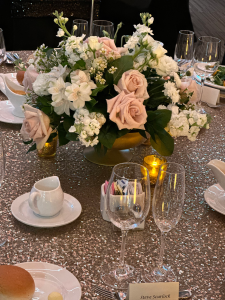 gala photo