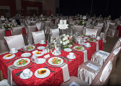 gala photo
