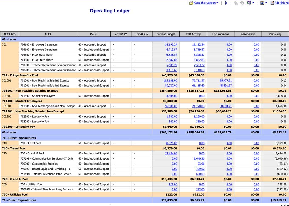 Operating Ledger screen in reporting tool showing budget laid out with account section headers