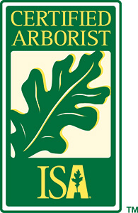 ISA logo