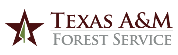 Texas A and M Forest Service Logo