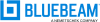 Bluebeam Revu