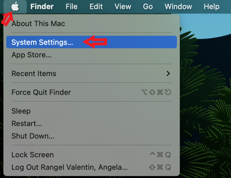 1.Apple System Settings