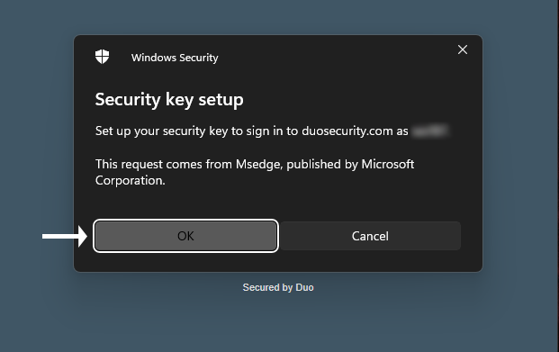 Duo_Select_OK for Windows Key Setup
